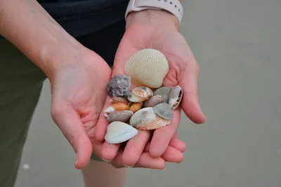 DSC_5447 (Large).JPG